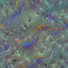 n01917289 brain coral